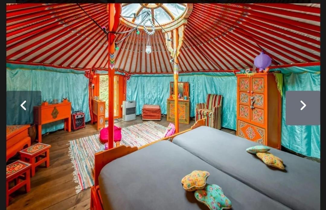 Yourte Mongole Et Cabane Houffalize Esterno foto